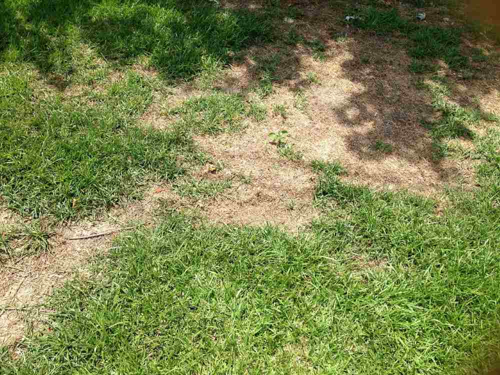 how-soil-ph-imbalances-affect-lawns