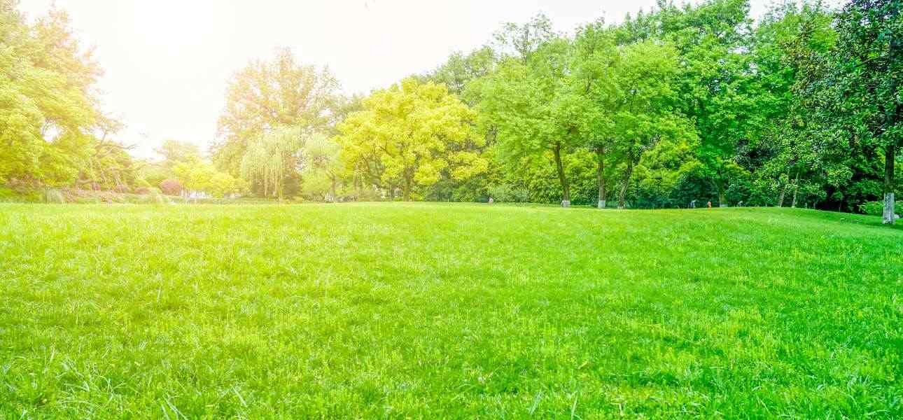 when-to-start-fertilizing-in-spring