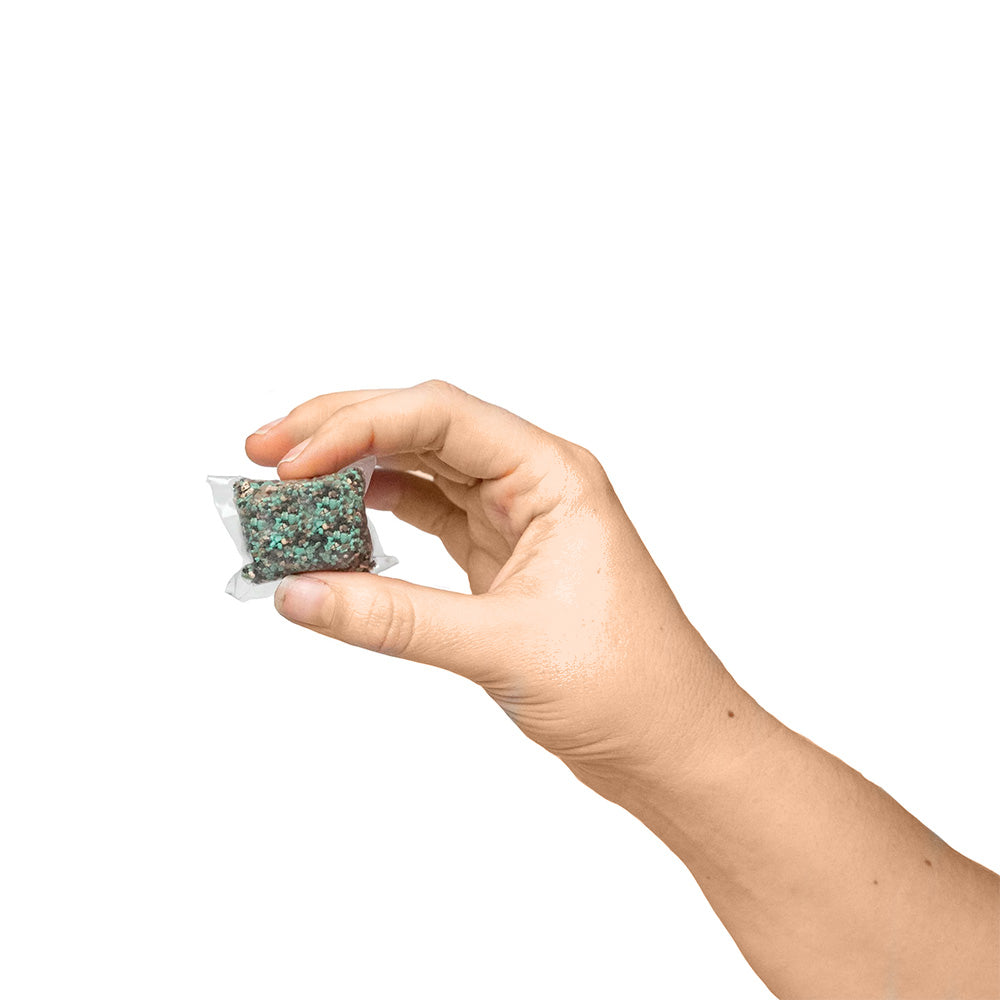 sod starter fertilizer