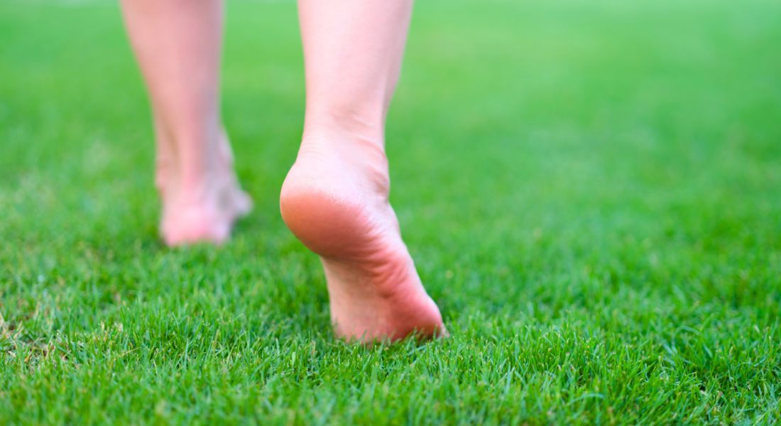 Why Some Lawns Green Up Faster Than Others in Spring