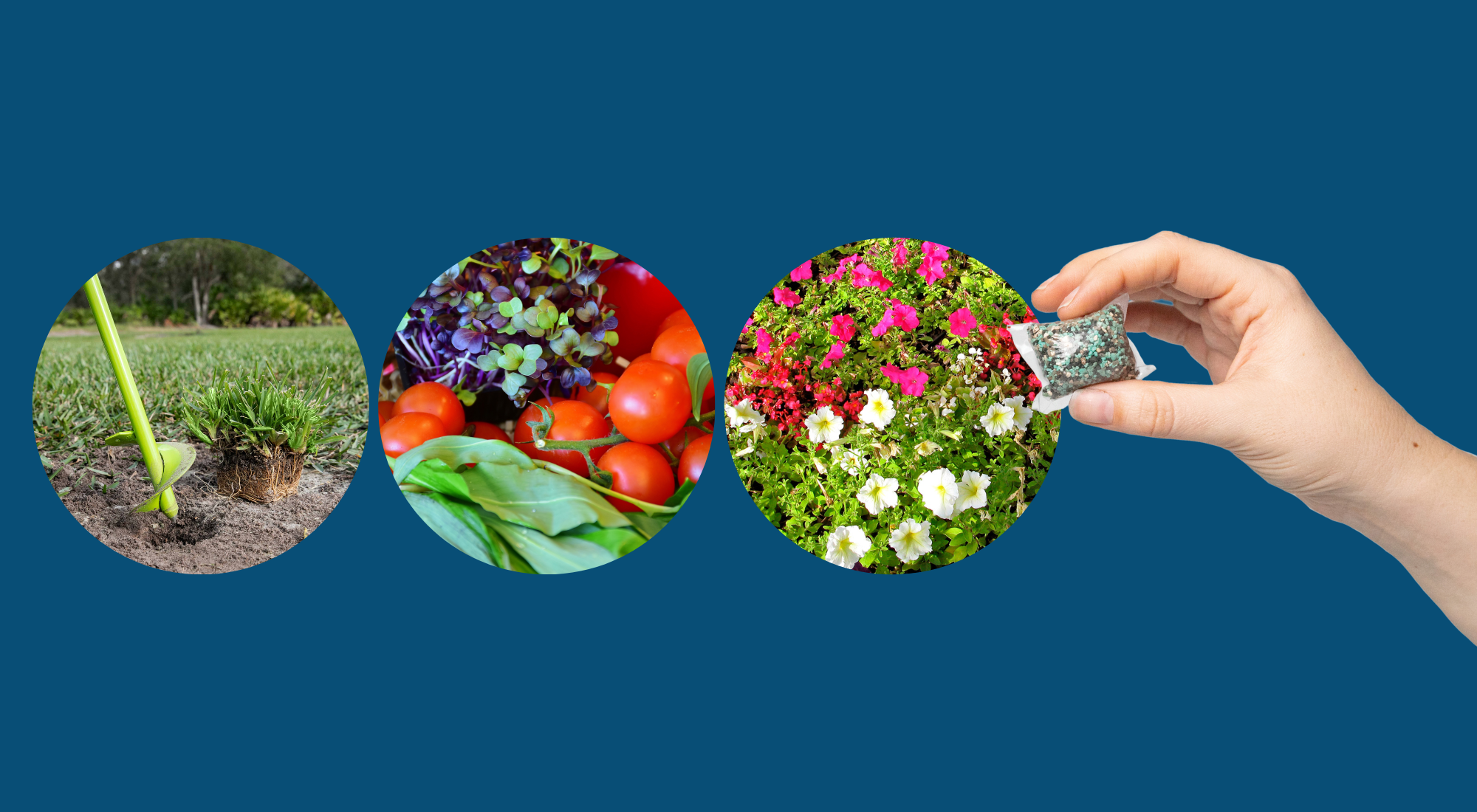 Introducing NutriPod®: The Sustainable Solution for Plant Nutrition