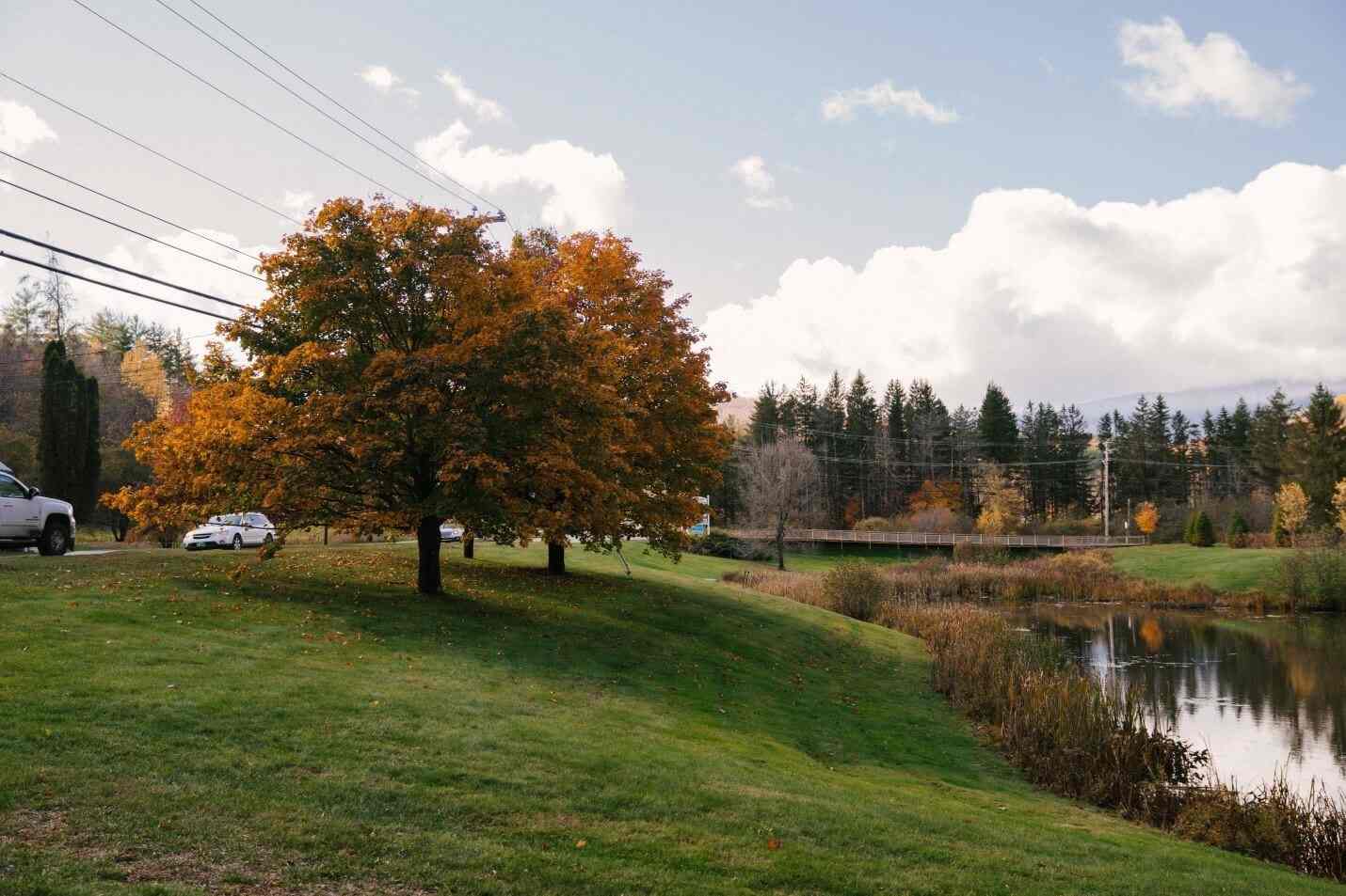 Fertilize Your Lawn in the Fall