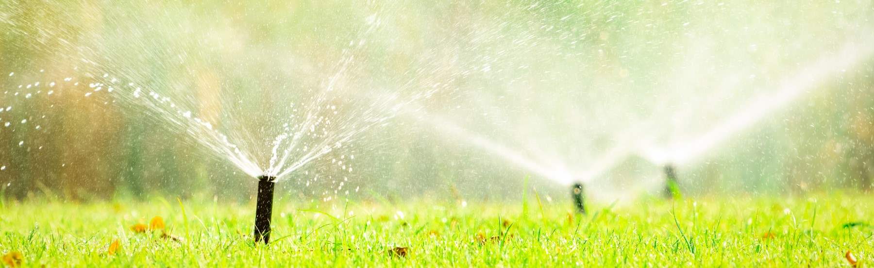 How to Save Water on Your Lawn