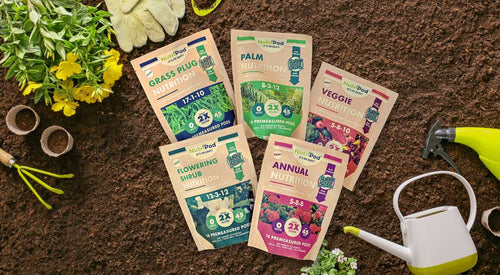 Home Nutripod Blog Plant Care How NutriPod Works: An Easy-to-Use ...