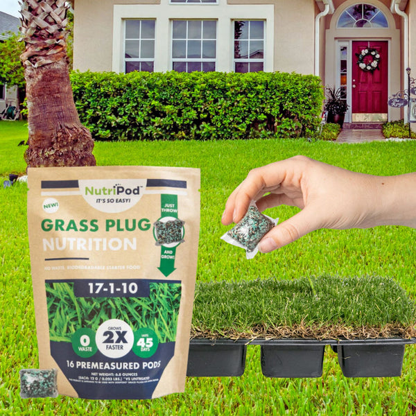 NutriPods Grass Plug Nutrition for Fall Lawn Repair