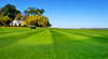 The Secret to Perfect Lawn Stripes (It’s Easier Than You Think)