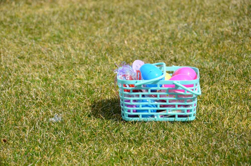 How to Keep Your Lawn & Kids Safe This Easter Egg Hunt