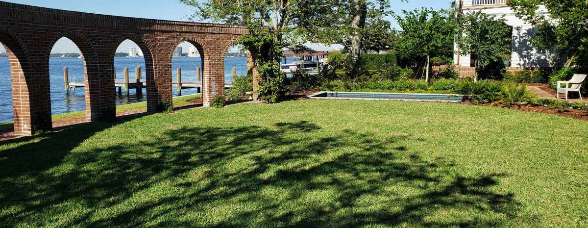 Best Fertilizer for St. Augustine Grass