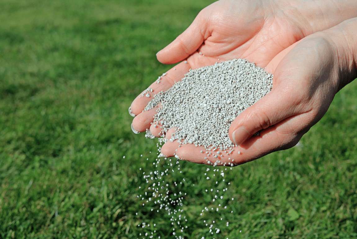 Can Fertilizer Damage New Grass