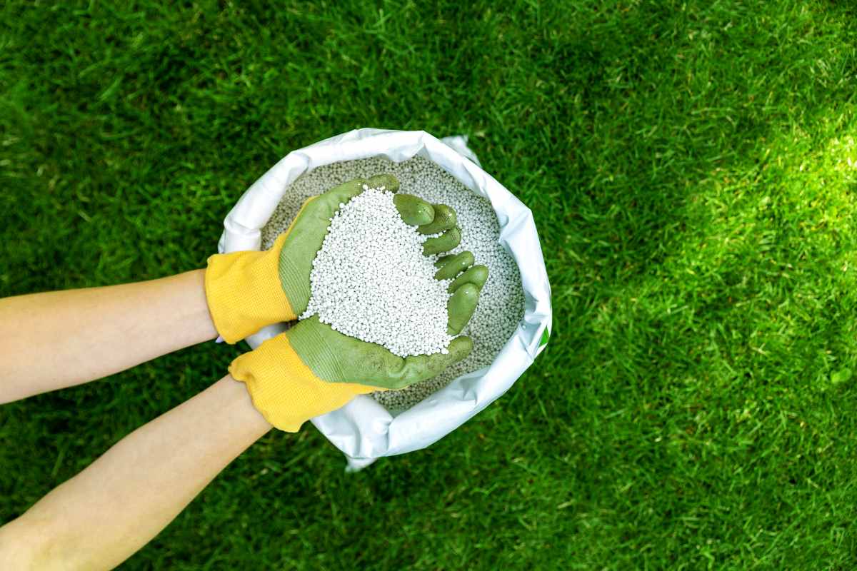 different-types-of-fertilizer
