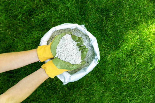 Lawn Fertilizers