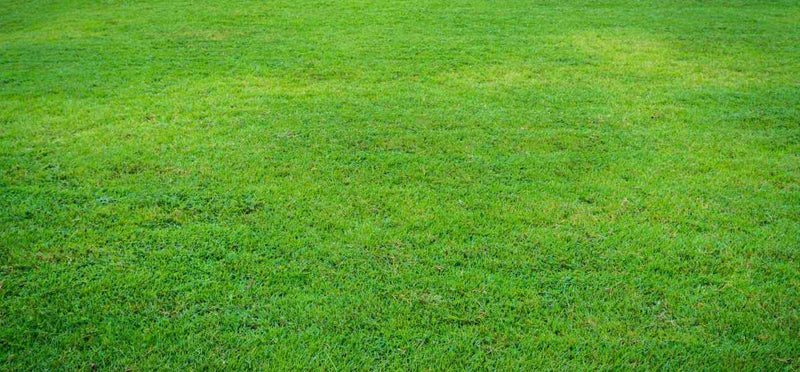 Different Types of Soil Amendments