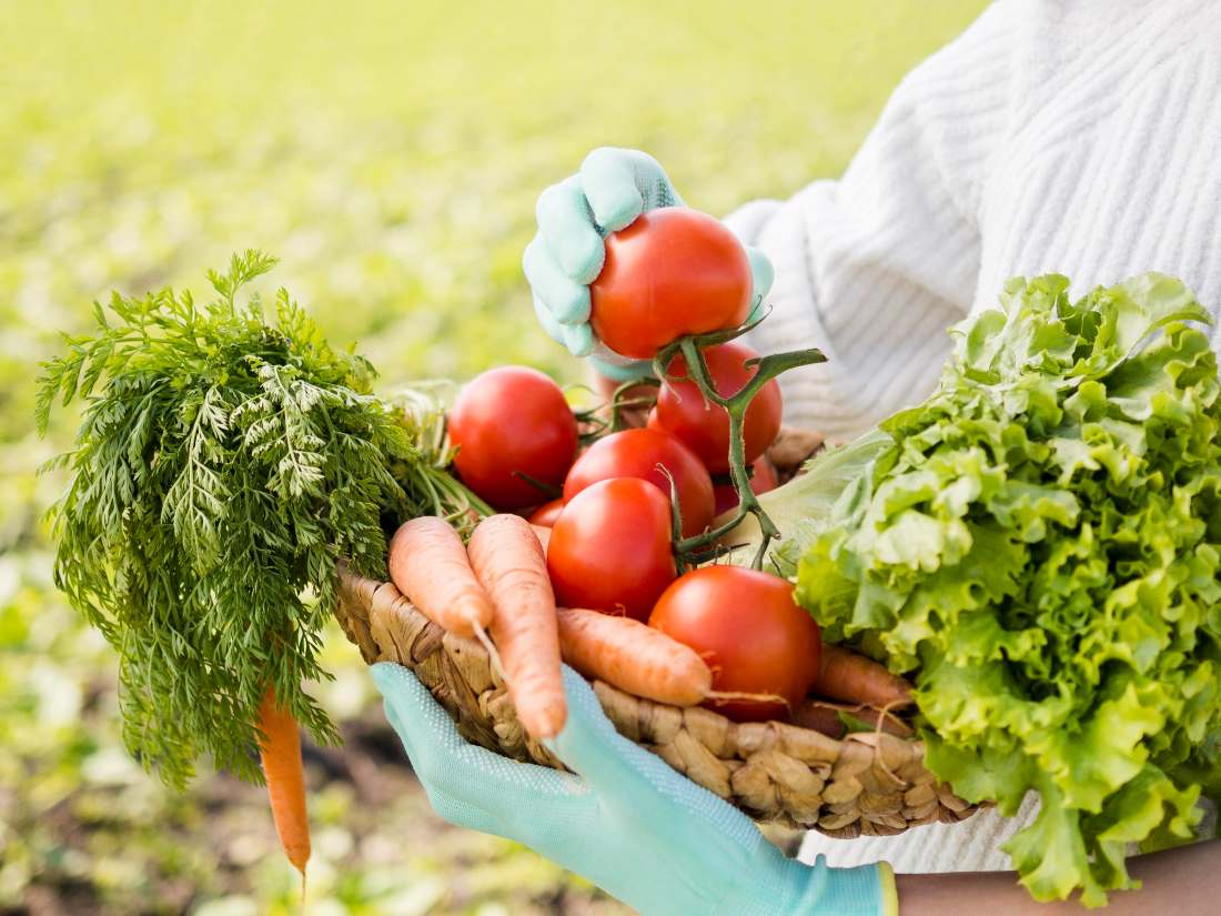 Vegetables to Grow in Florida