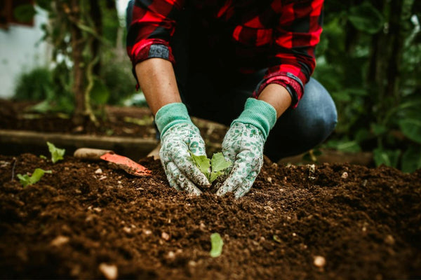 fertilizer-and-compost