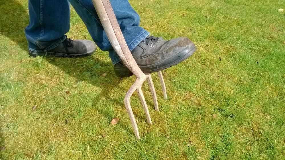 7 Signs of Micronutrient Deficiency in Lawns & How to Fix It