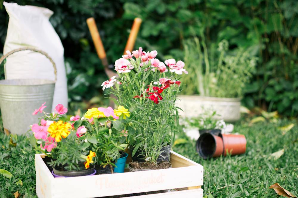 Gardening Trends to Watch