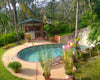 Good Poolside Plants for Shade, Color, and Privacy