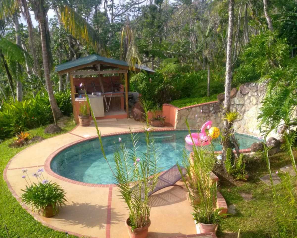 good-poolside-plants-in-florida