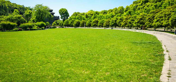 green-city-park