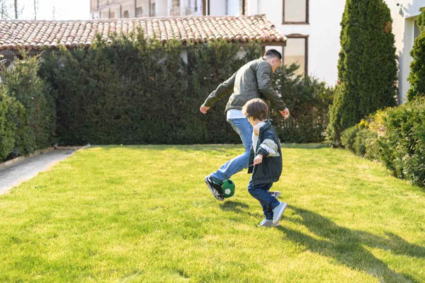 Guide to Fertilizing Your Lawn in Summer