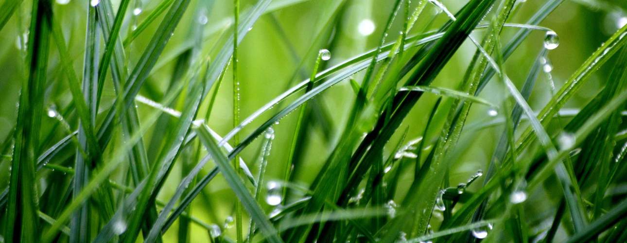 Fertilizer Treatment