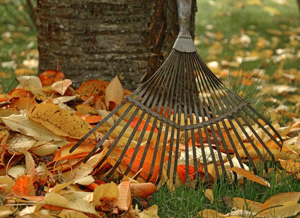 Sustainable Lawn Care