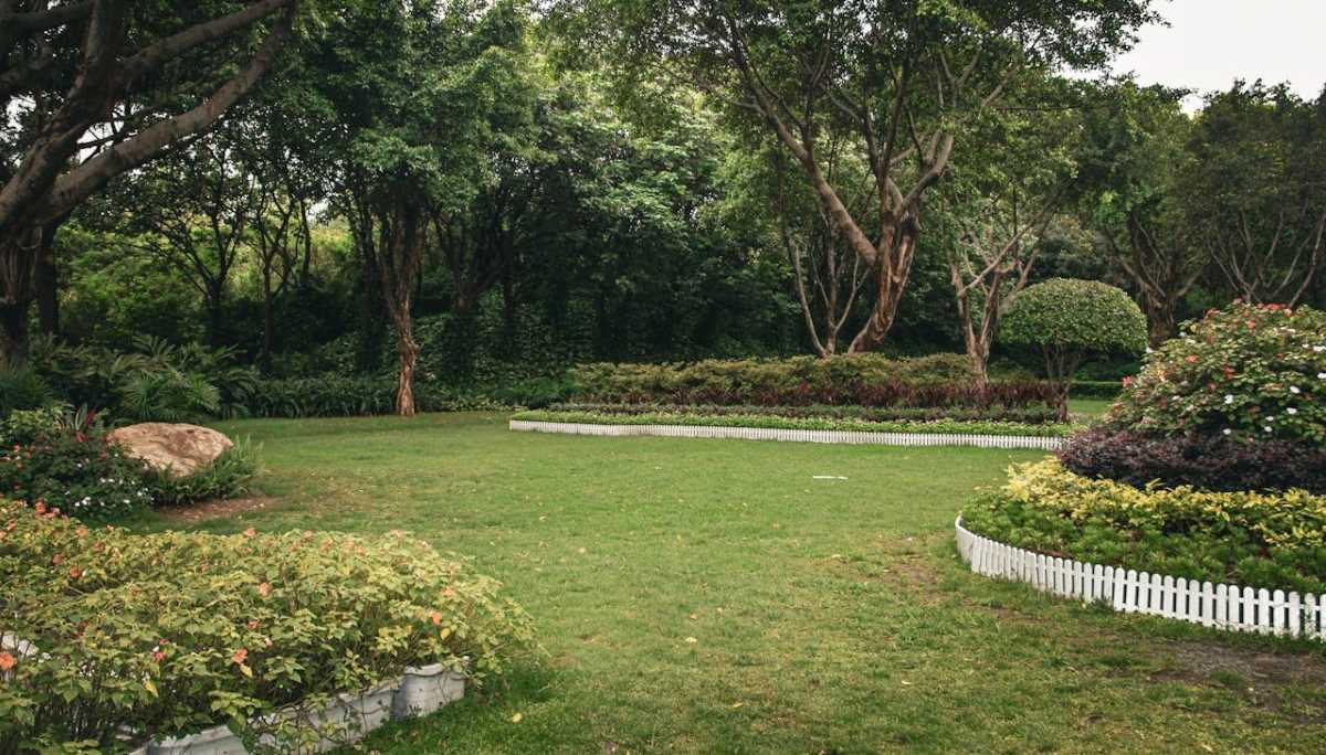 how-to-keep-grass-out-of-flower-beds