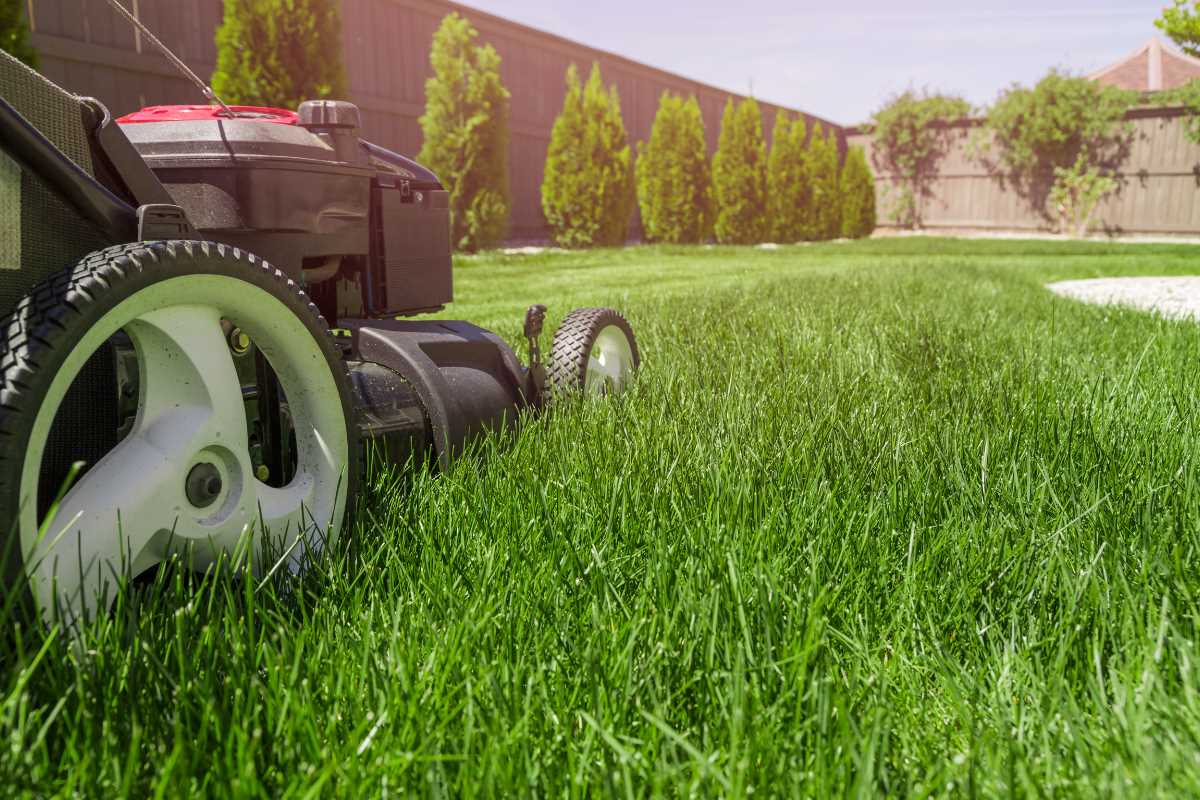 how-to-mow-around-garden-beds