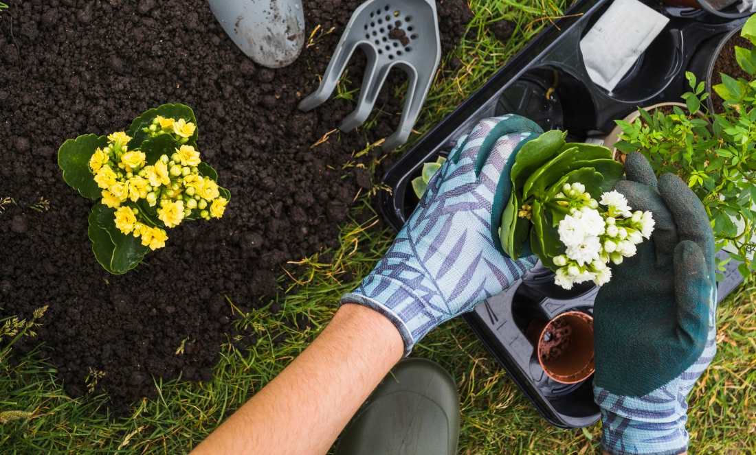 how-to-prepare-garden-for-spring