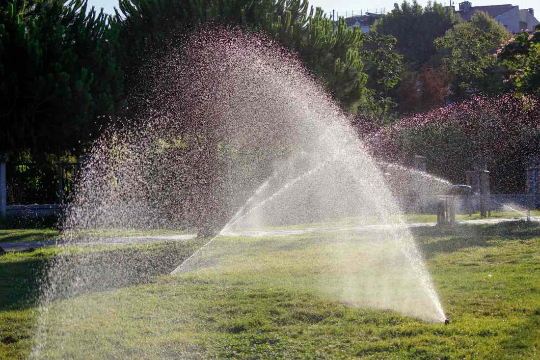 how-to-save-water-on-your-lawn