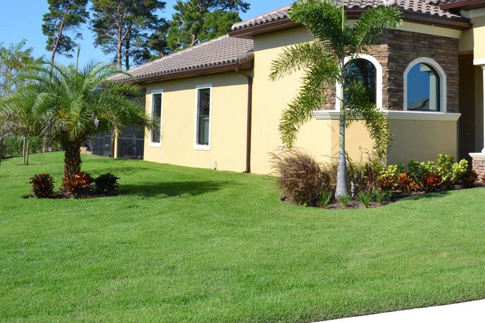 Zoysiagrass for your lawn