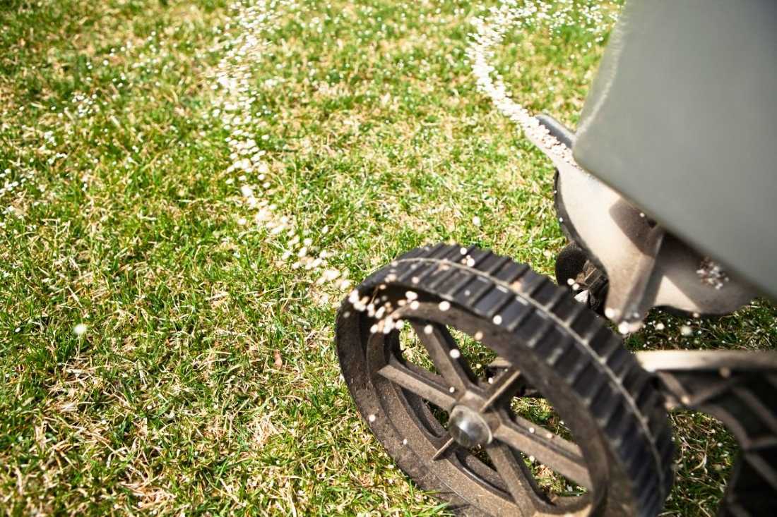 key-nutrients-in-starter-fertilizer