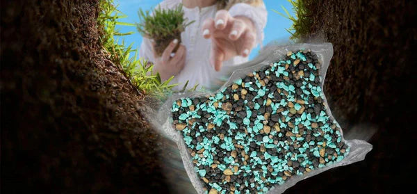 Mistakes to Avoid When Fertilizing Your Lawn