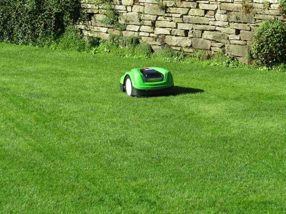 Can You Over-Fertilize Bermudagrass? Signs & How to Fix It