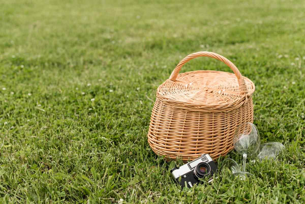 Is Your Lawn Struggling? 5 Symptoms of Drought Stress