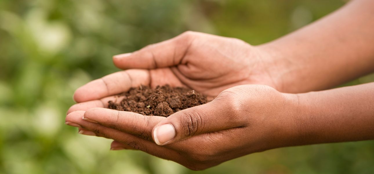 Signs of Nutrient-Poor Soil & How to Address Them – NutriPod