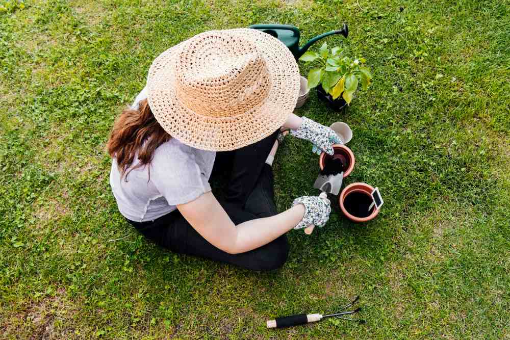 Spring Gardening Must-Haves for a Thriving Yard | NutriPod