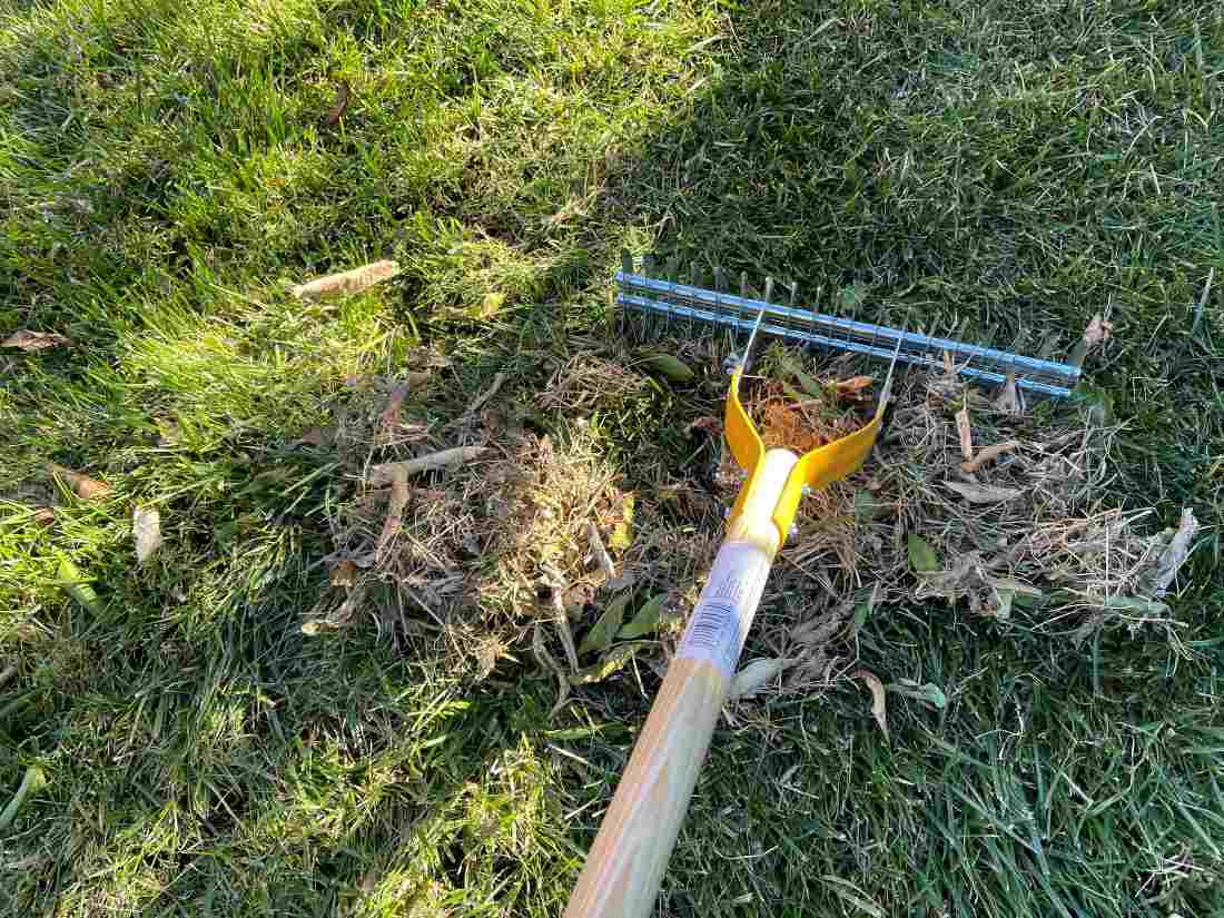 Dethatching vs. Aerating