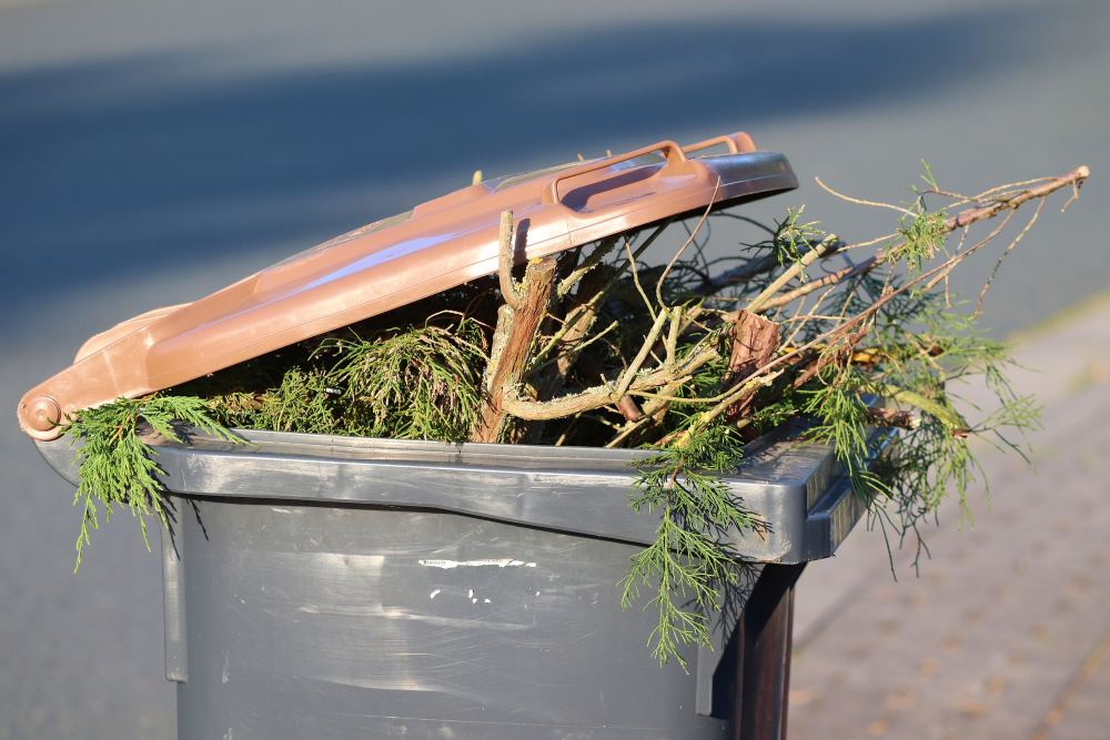 Sustainable Lawn Care