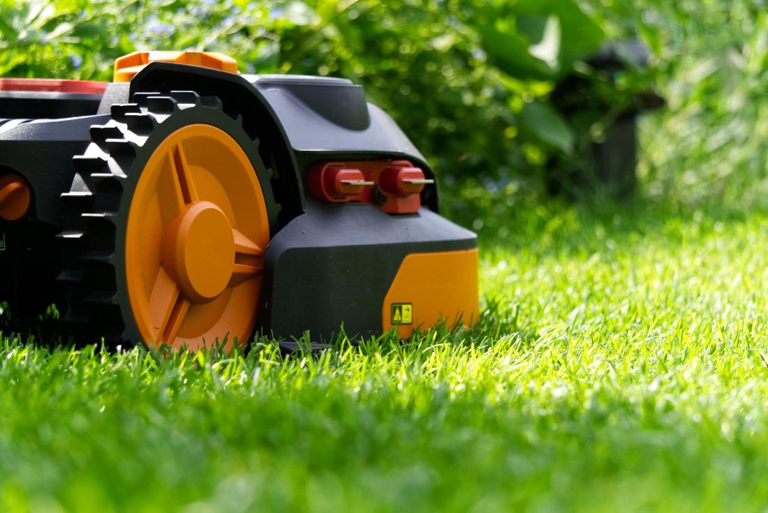 the-best-grass-for-your-lawn