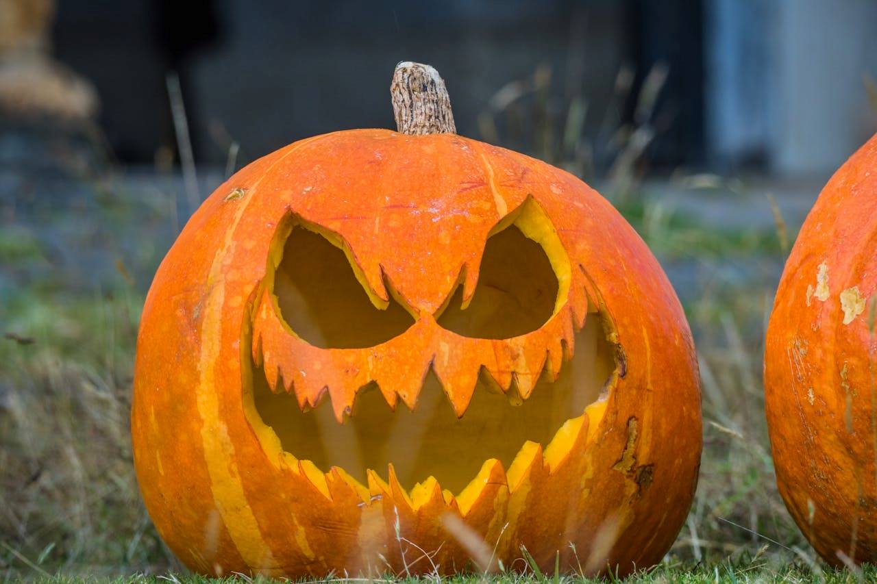 trick-or-treat-how-to-prepare-lawn-for-halloween