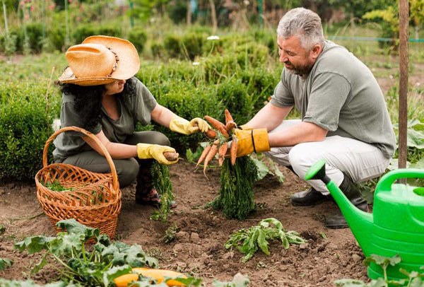 water-saving-tips-for-vegetable-garden-beds