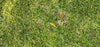 8 Signs of an Over-Fertilized Lawn & What to Do Next