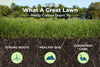 What a Great Lawn Really Comes Down To