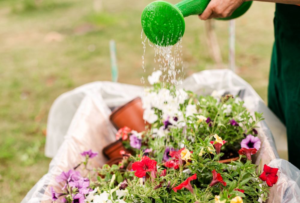 Spring Fertilizing: When & How to Feed Your Garden