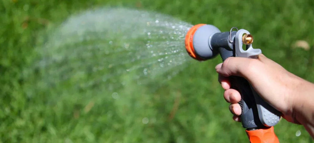 Should You Water Your Lawn Immediately After Fertilizing?