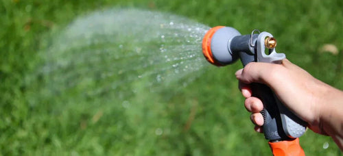 Should You Water Your Lawn Immediately After Fertilizing?