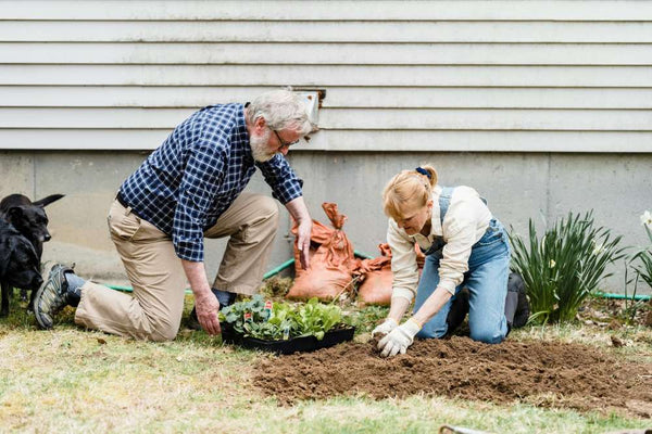 winter-vegetable-gardening-tips