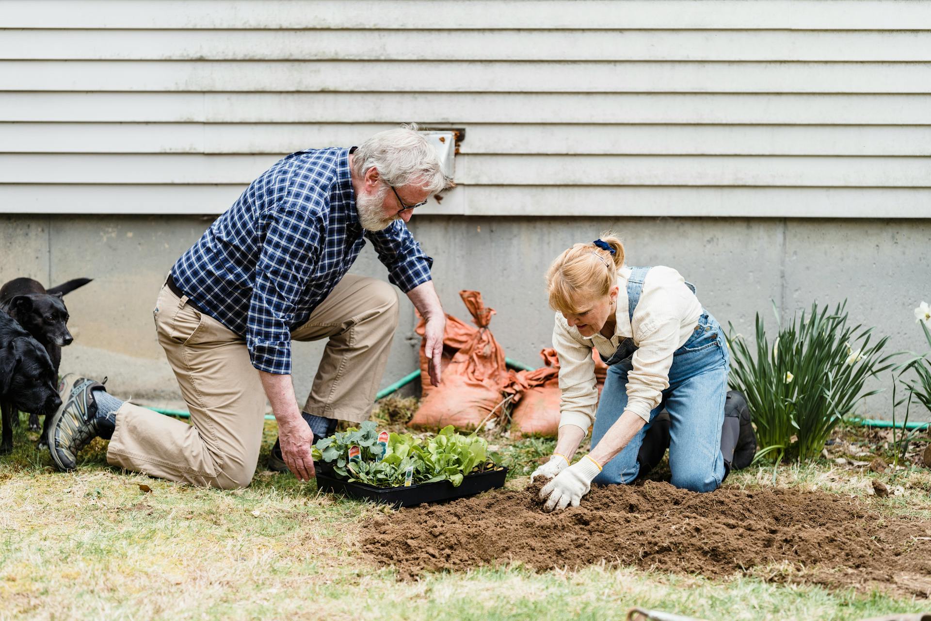 Winter Vegetable Garden Care: 8 Tasks to Do Now