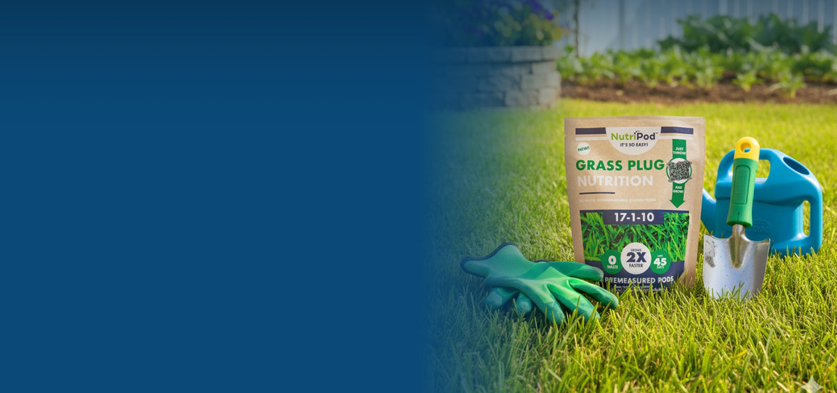 Precise Plant Nutrition